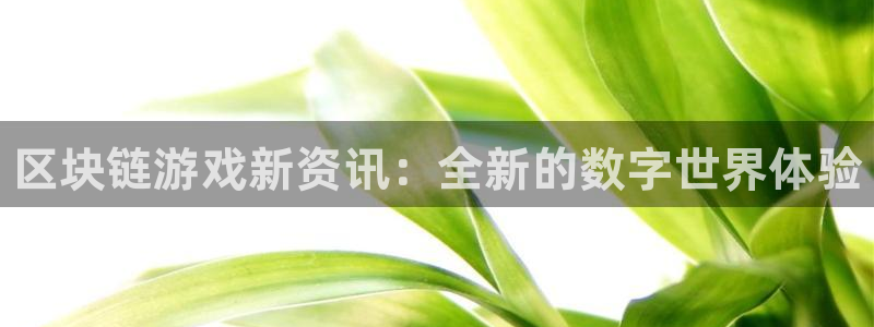 蓝冠娱乐4主管：区块链游戏新资讯：全新的数字世界体验