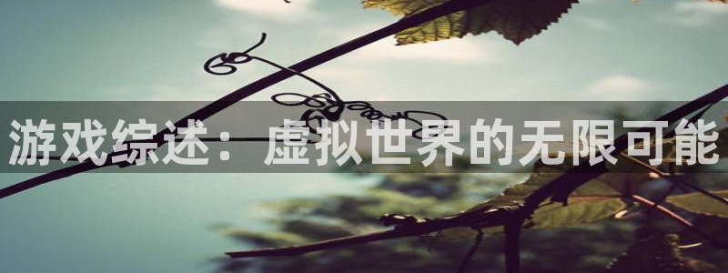 蓝冠娱乐平台注册开户：游戏综述：虚拟世界的无限可能