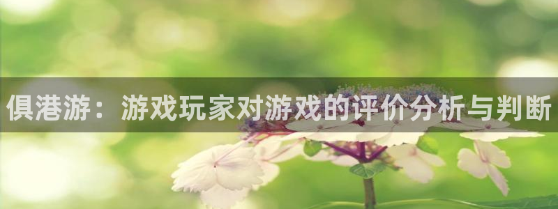蓝冠娱乐官方注册登录：俱港游：游戏玩家对游戏的评价分析与判断
