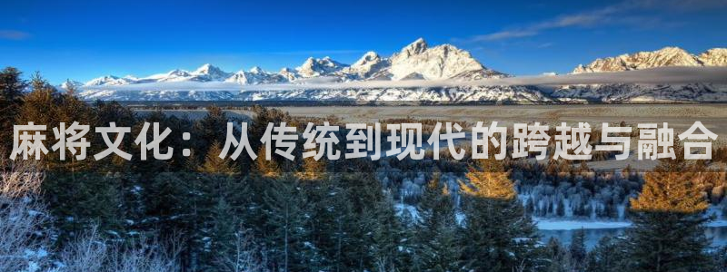 蓝冠娱乐网址官网：麻将文化：从传统到现代的跨越与融合