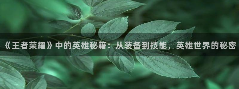 蓝冠娱乐咨询：《王者荣耀》中的英雄秘籍：从装备到技能，英雄世