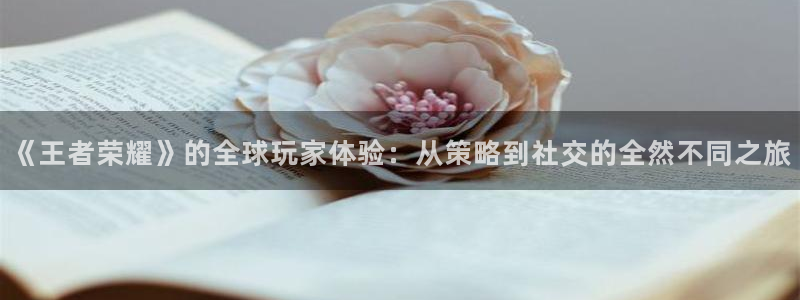 蓝冠娱乐注册服务条款：《王者荣耀》的全球玩家体验：从策略到社