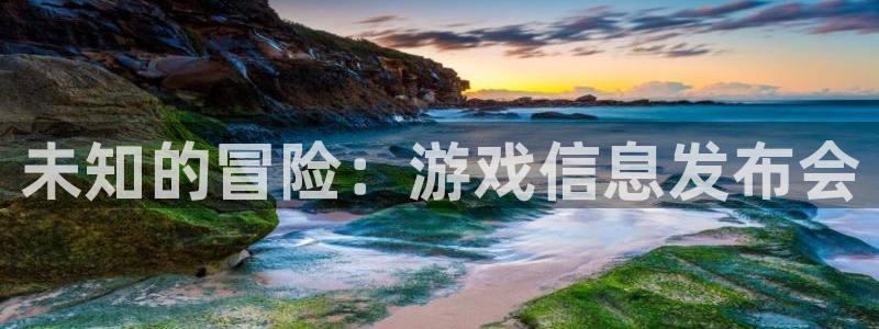 蓝冠娱乐app：未知的冒险：游戏信息发布会