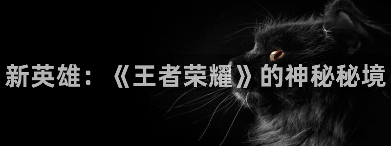 蓝冠娱乐网址官网：新英雄：《王者荣耀》的神秘秘境