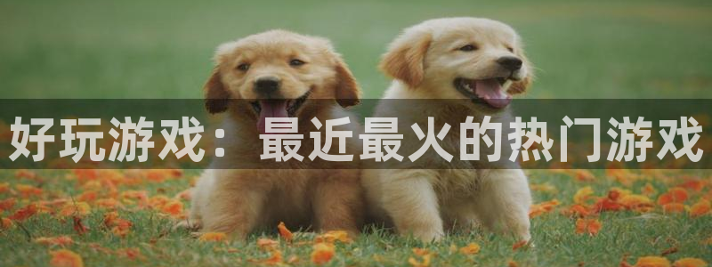 蓝冠医疗生物科技口罩怎么样
