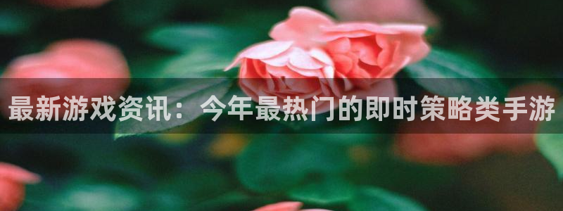 蓝冠招商首页app