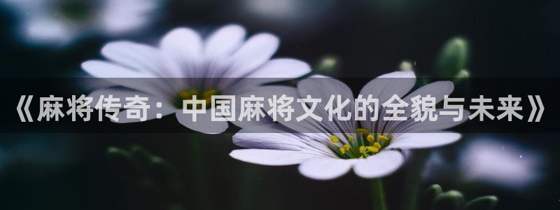 蓝冠娱乐