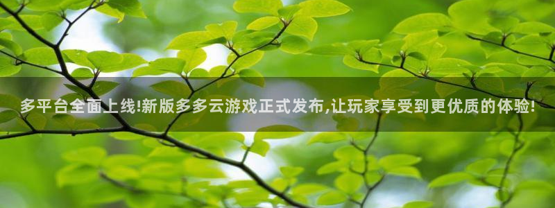 蓝冠科技电子有限公司招聘