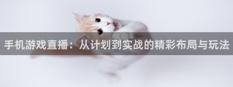 蓝冠科技电子有限公司招聘