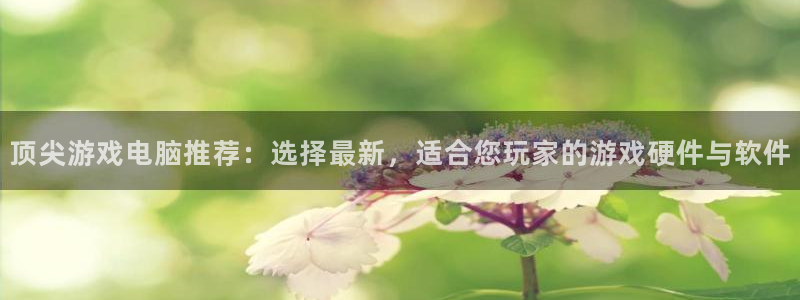 蓝冠娱乐平台：顶尖游戏电脑推荐：选择最新，适合您玩家的游戏硬