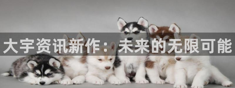 蓝冠装饰口碑怎么样：大宇资讯新作：未来的无限可能